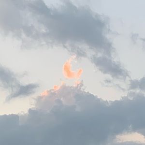 Meet your Posher, Ada